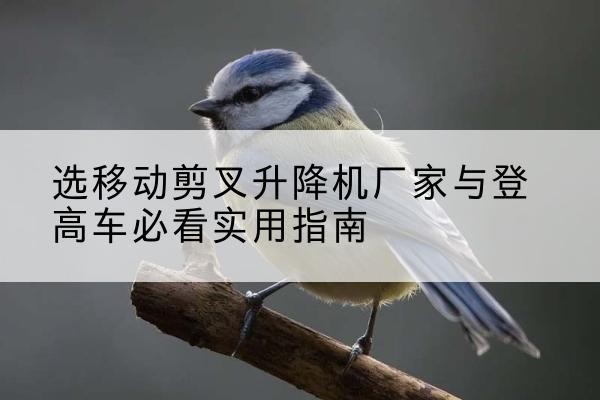 贵德电动升降机厂家-选移动剪叉升降机厂家与登高车必看实用指南