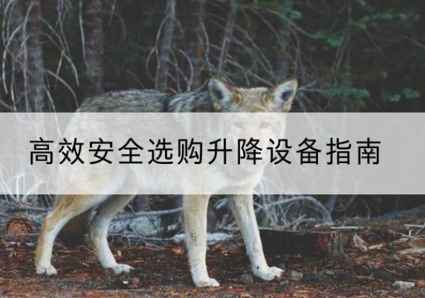 贵德升降货梯厂家推荐-*安全选购升降设备指南